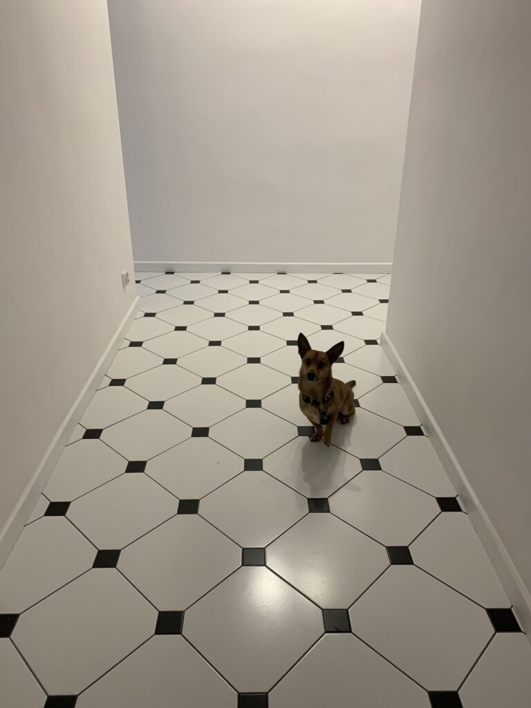 Image #1 from Adrianna Jagiełło