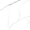 gres CARRARA 120x60 CLERYS POLER gat.1