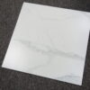 gres CARRARA PALATINA MAT 60x60 rektyfik
