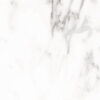 gres CARRARA PALATINA 120x60 MAT