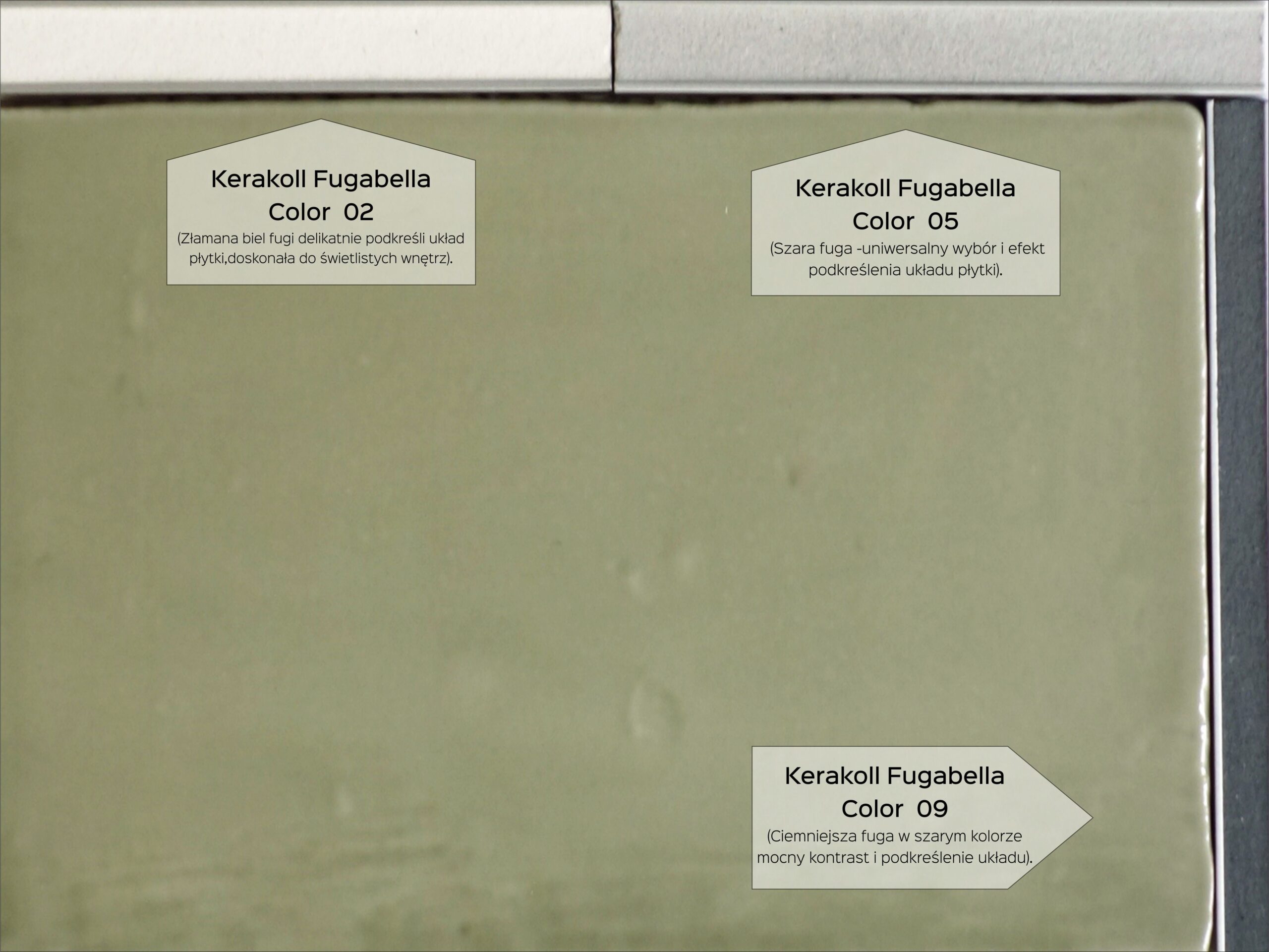 EQUIPE MASIA OLIVE fuga