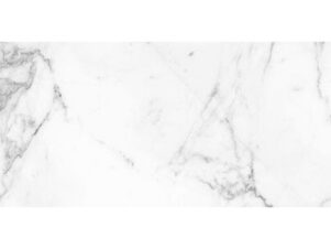 EMIGRES REAL LAPPATO  120x60 carrara