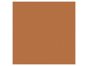 płytki BAUHOME TERRAKOTTA 20x20