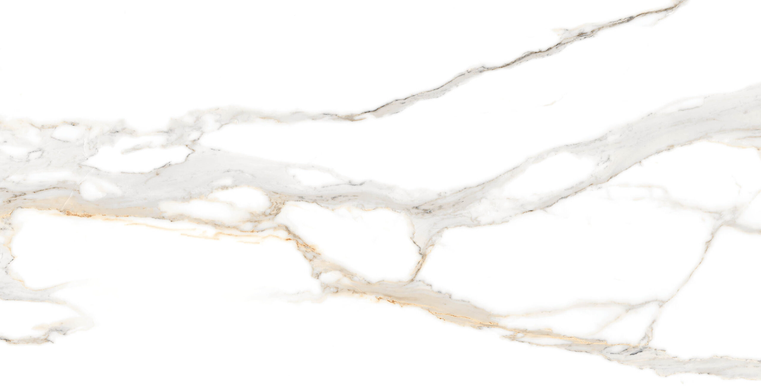 płytki calacatta gold 120x60