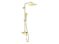 DEANTE deszczownica z baterią wannową - ruchoma wylewka ALPINIA złoty