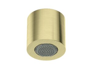 DEANTE główka prysznicowa 1-funkcyjna SILIA złoto szczotkowane